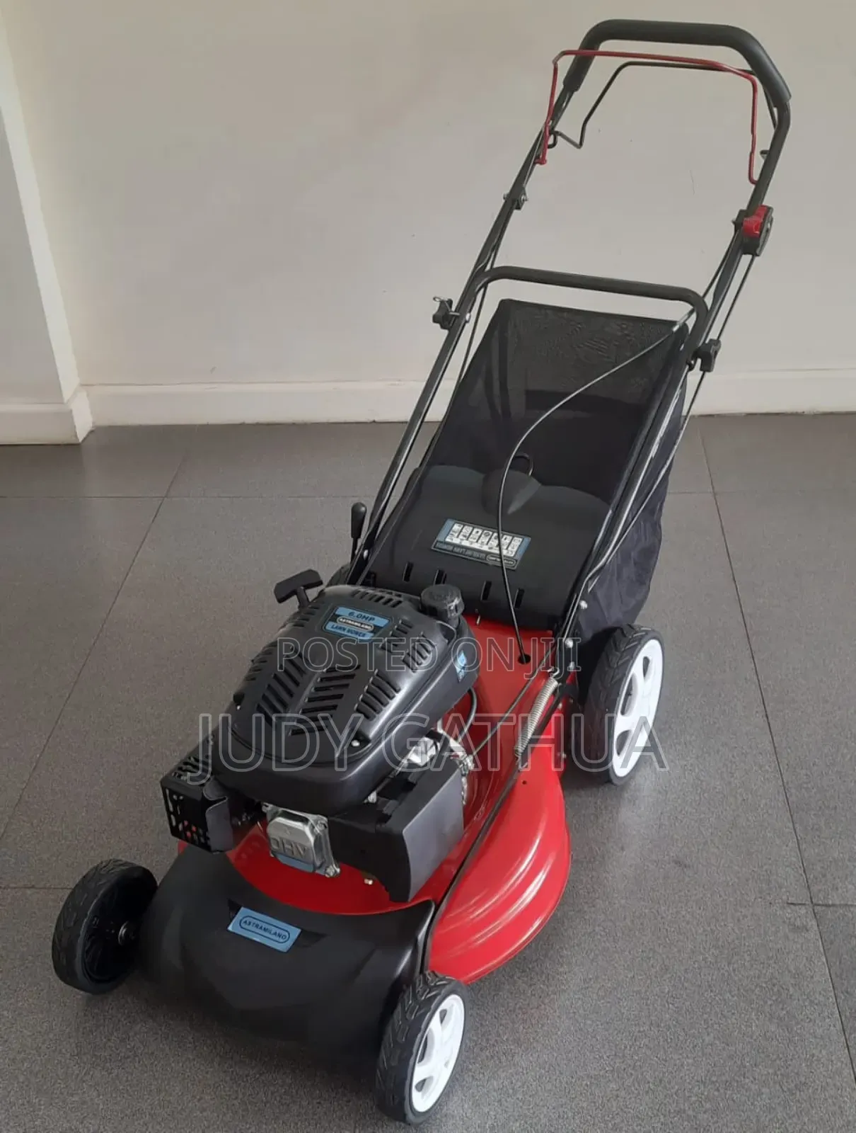 AYS21 Astramilano Lawn Mower 173cc 6hp 21 Inches