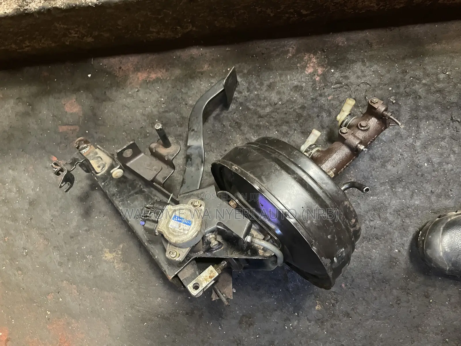 Booster Complete for Canter Etc