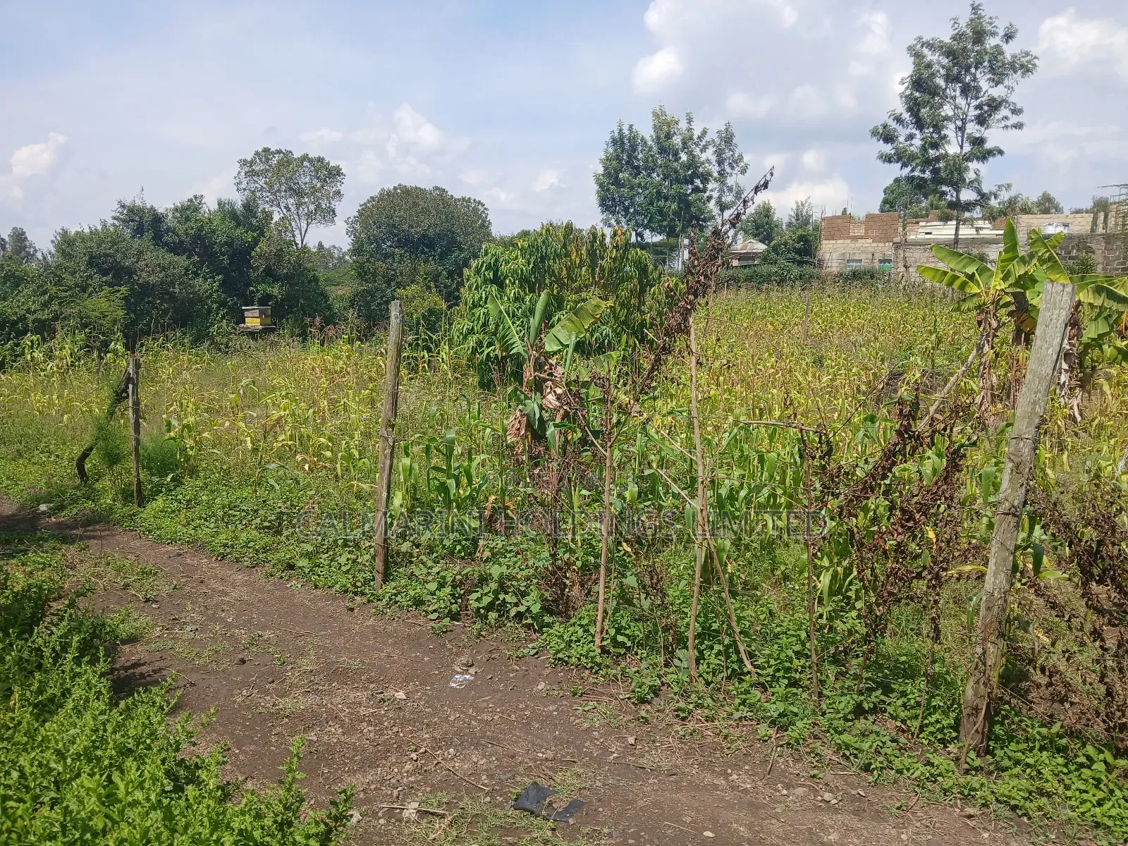 Eighth Acre for Sale in Merisho, Matasia