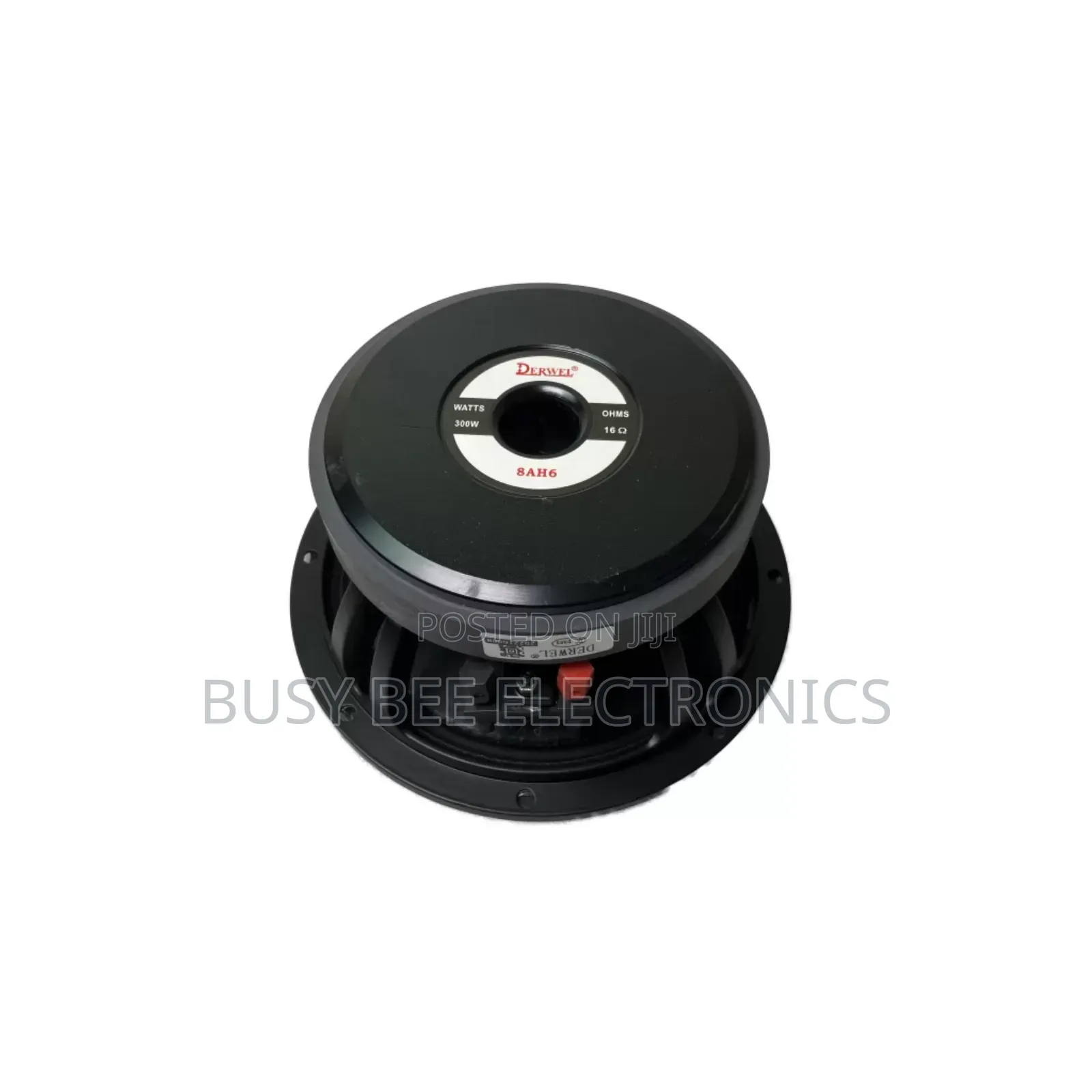 DERWEL 8′′ Speaker
