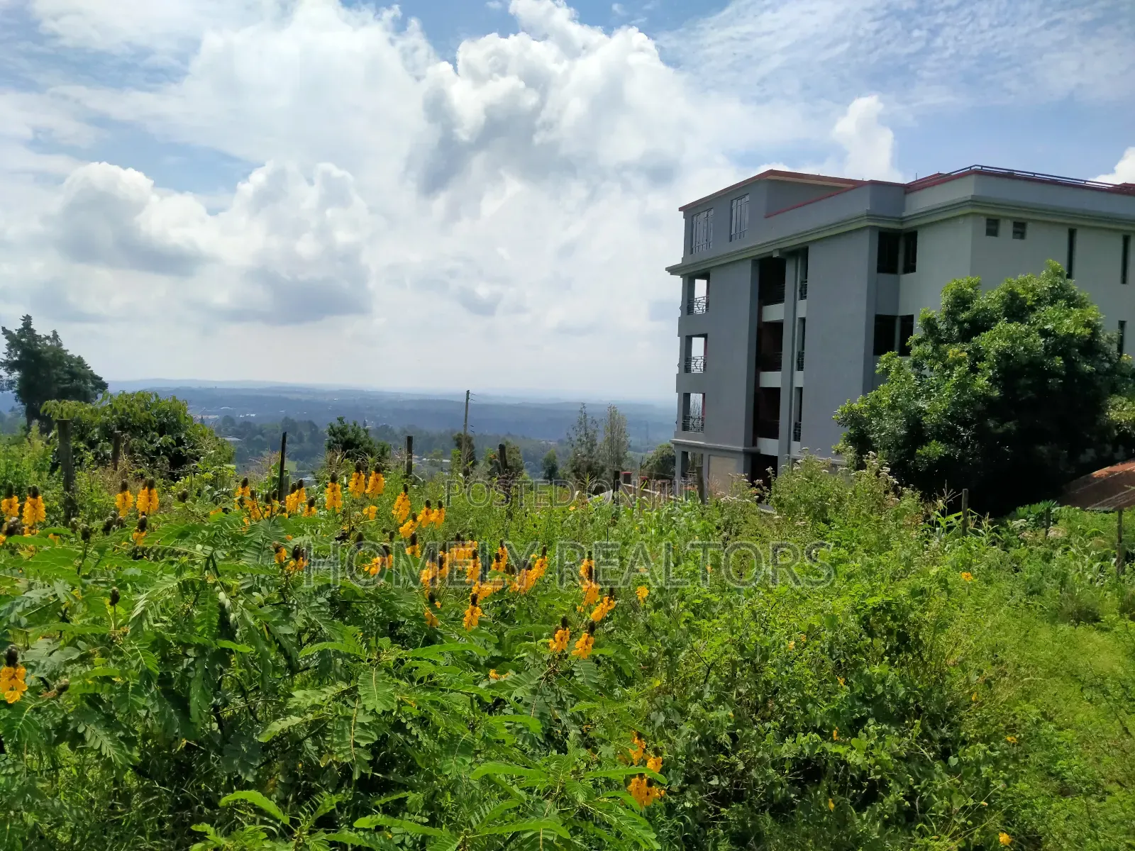 Half Acre 2nd Row Plot in Ngong Along Lemiso Rd, Scenic View