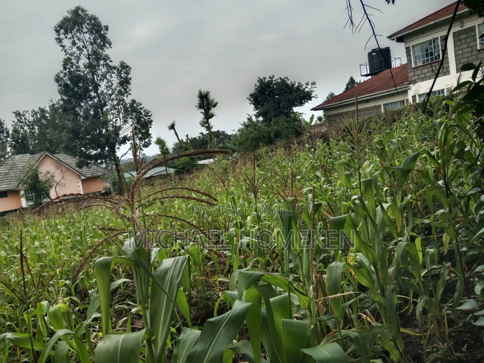 1/4 Acre for Sale in Ngong, Ololua