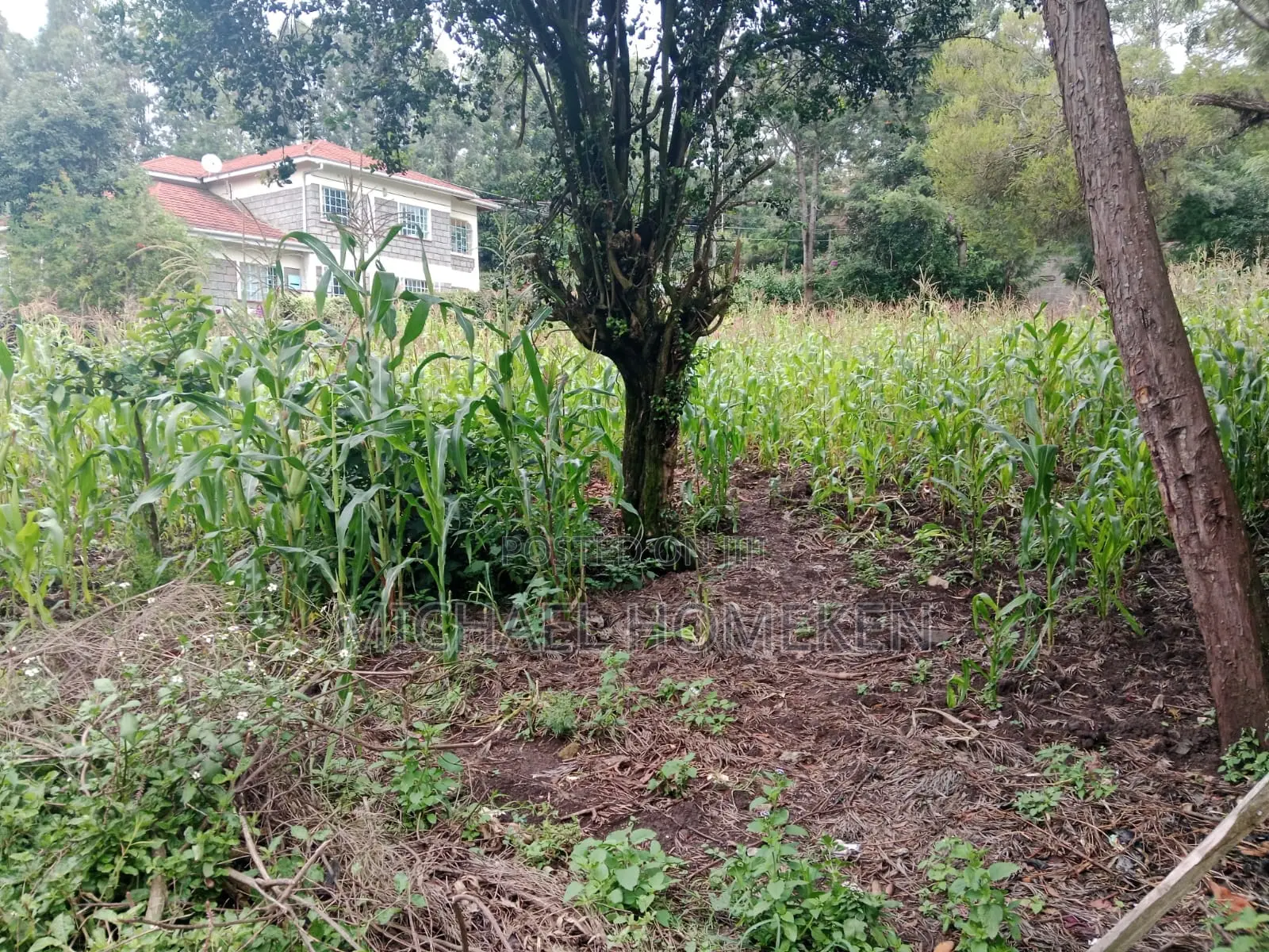 1/4 Acre for Sale in Ngong, Ololua