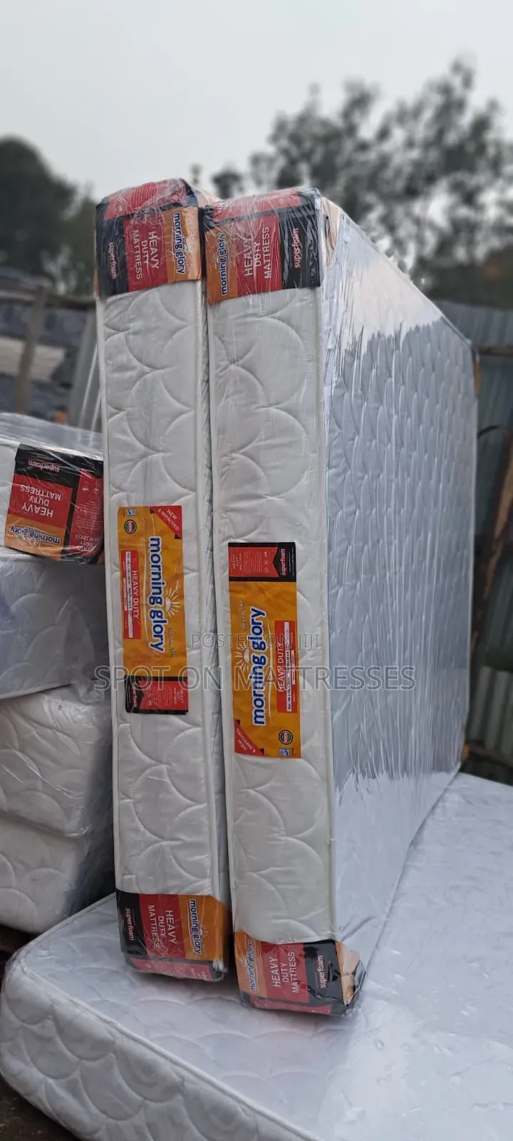5by6 8inch Superfoam MG Heavy Duty Quilted Mattresses.