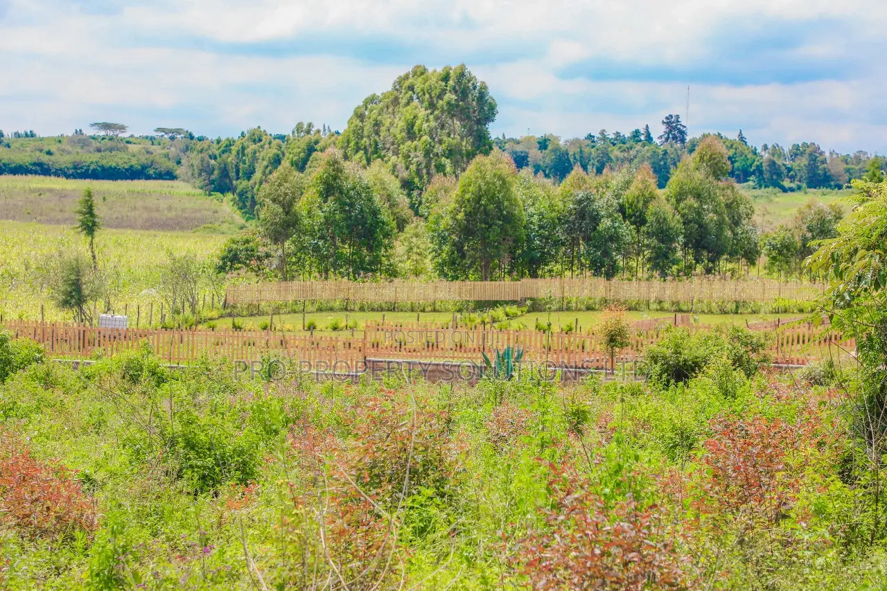 Prime Residential Plots for Sale in Kikuyu, Ondiri.
