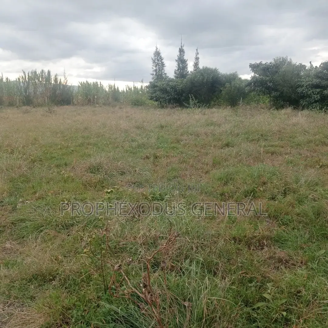 50ft by 100ft Plots for Sale in O/Rongai Rimpa Kandisi Police Station