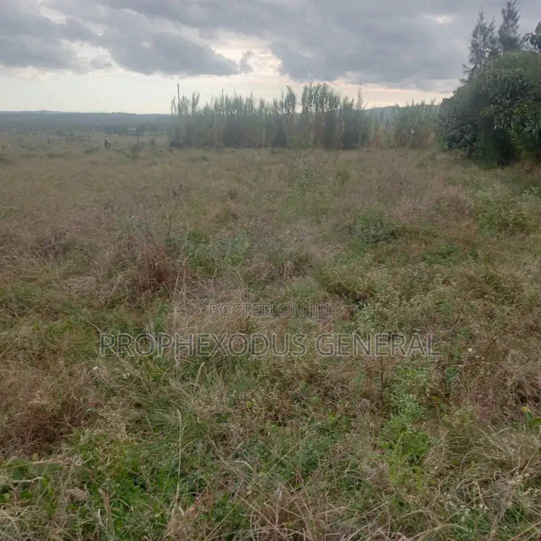 50ft by 100ft Plots for Sale in O/Rongai Rimpa Kandisi Police Station