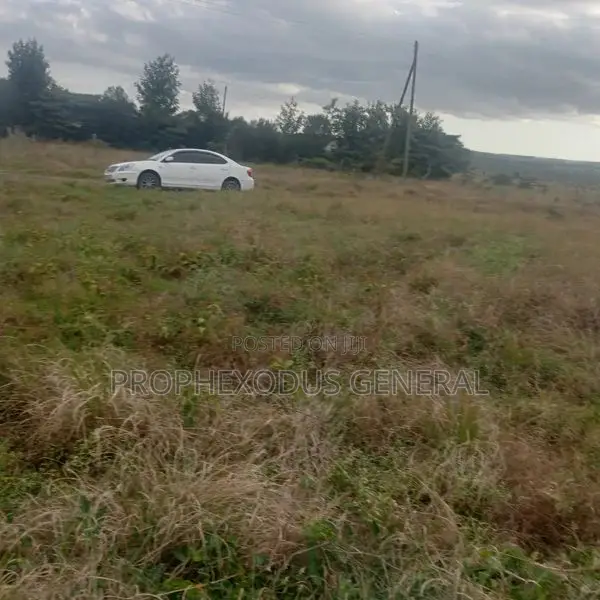 50ft by 100ft Plots for Sale in O/Rongai Rimpa Kandisi Police Station