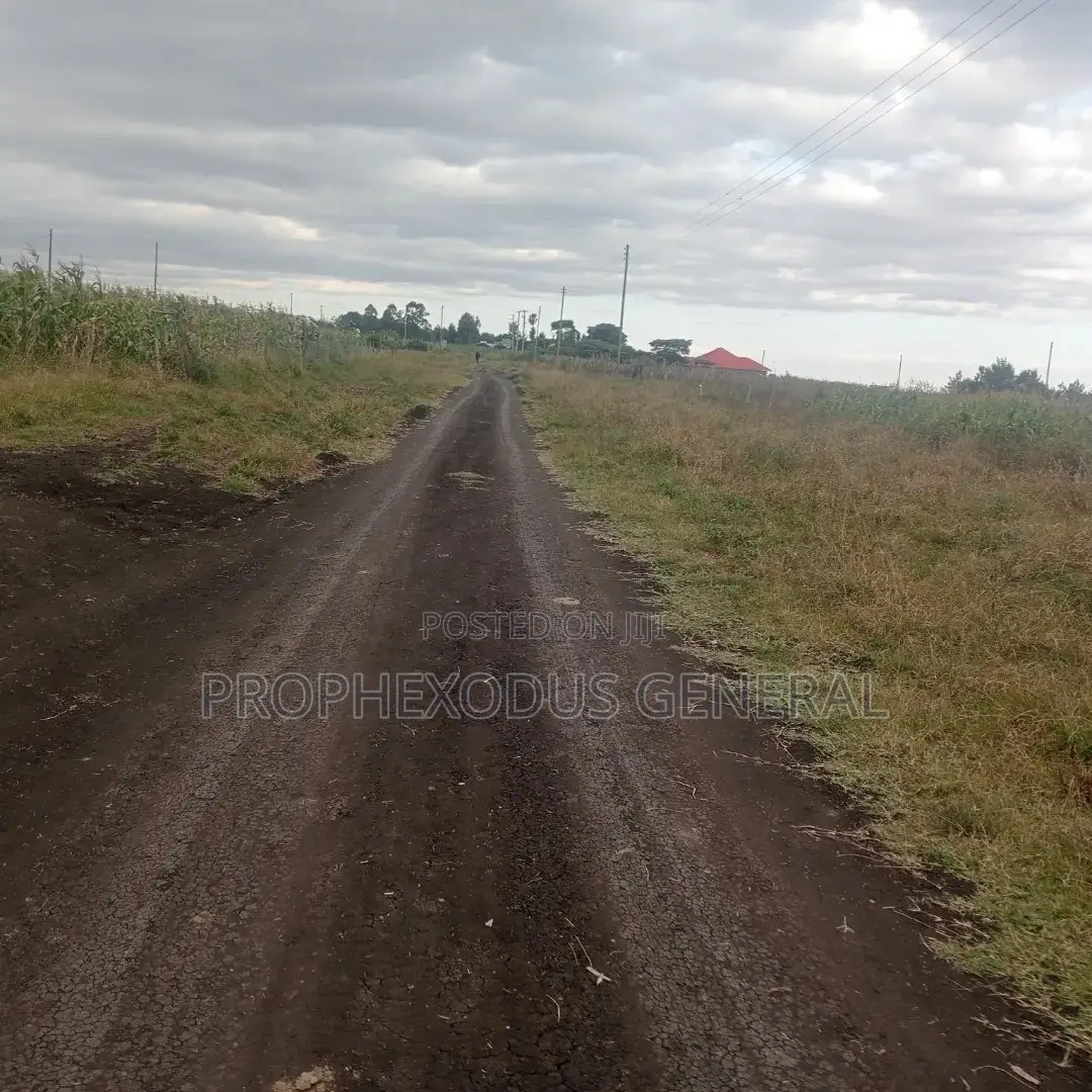 50ft by 100ft Plots for Sale in O/Rongai Rimpa Kandisi Police Station