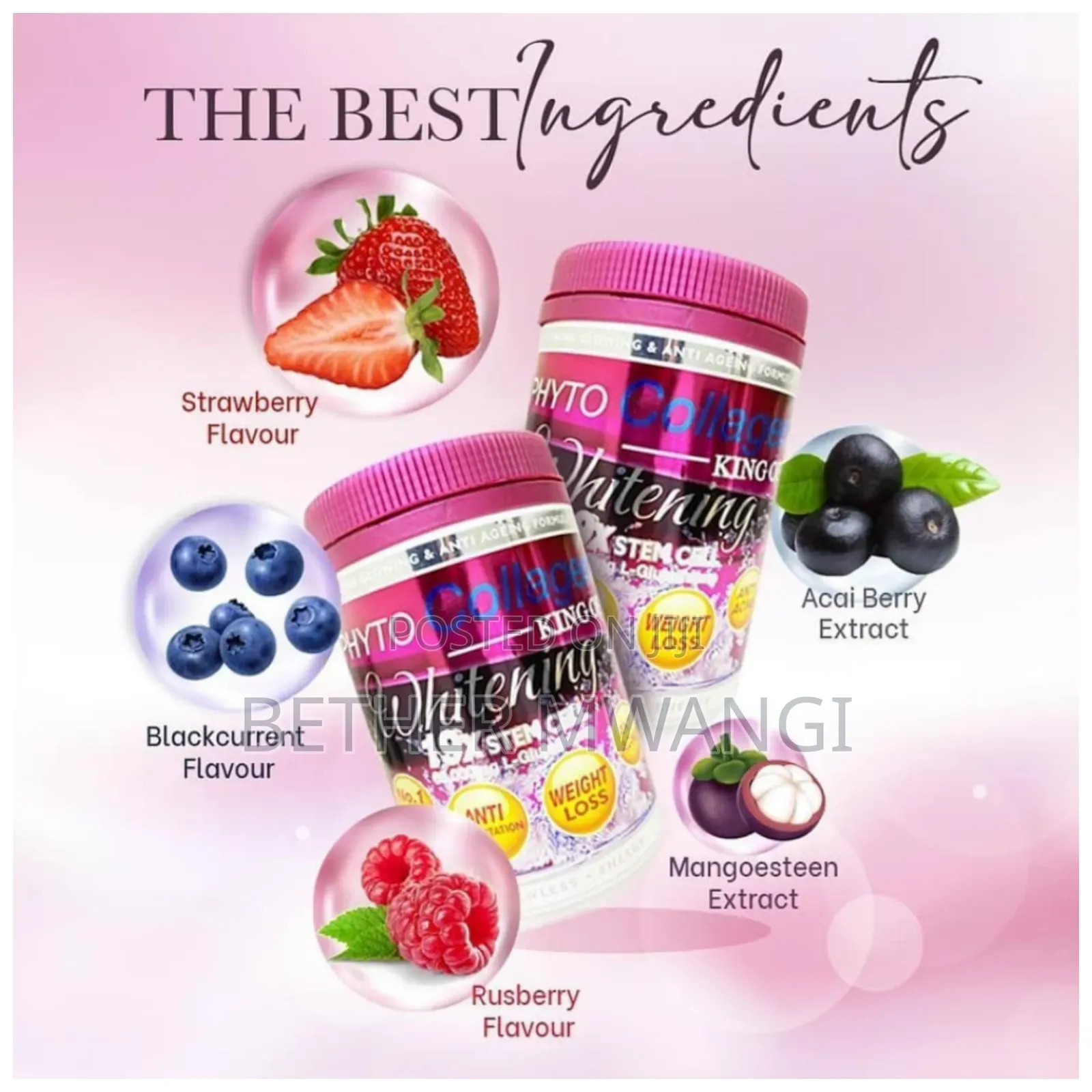 Phyto Collagen King Of Whitening 19x Stem Cell Powder