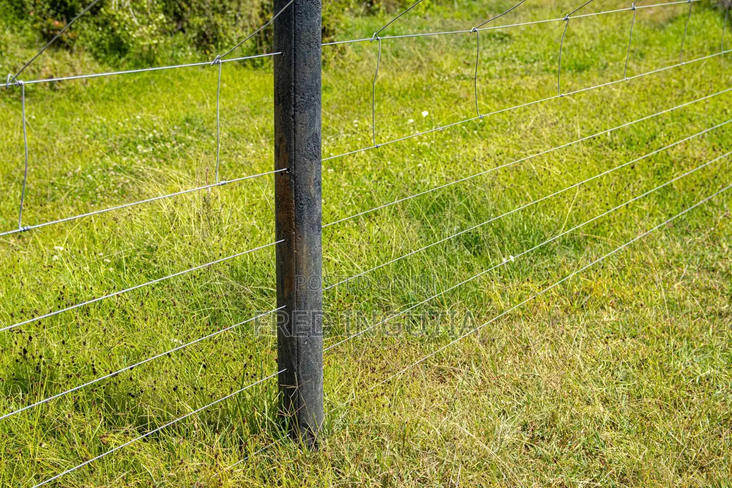 Electric Fencing Poles Plastic