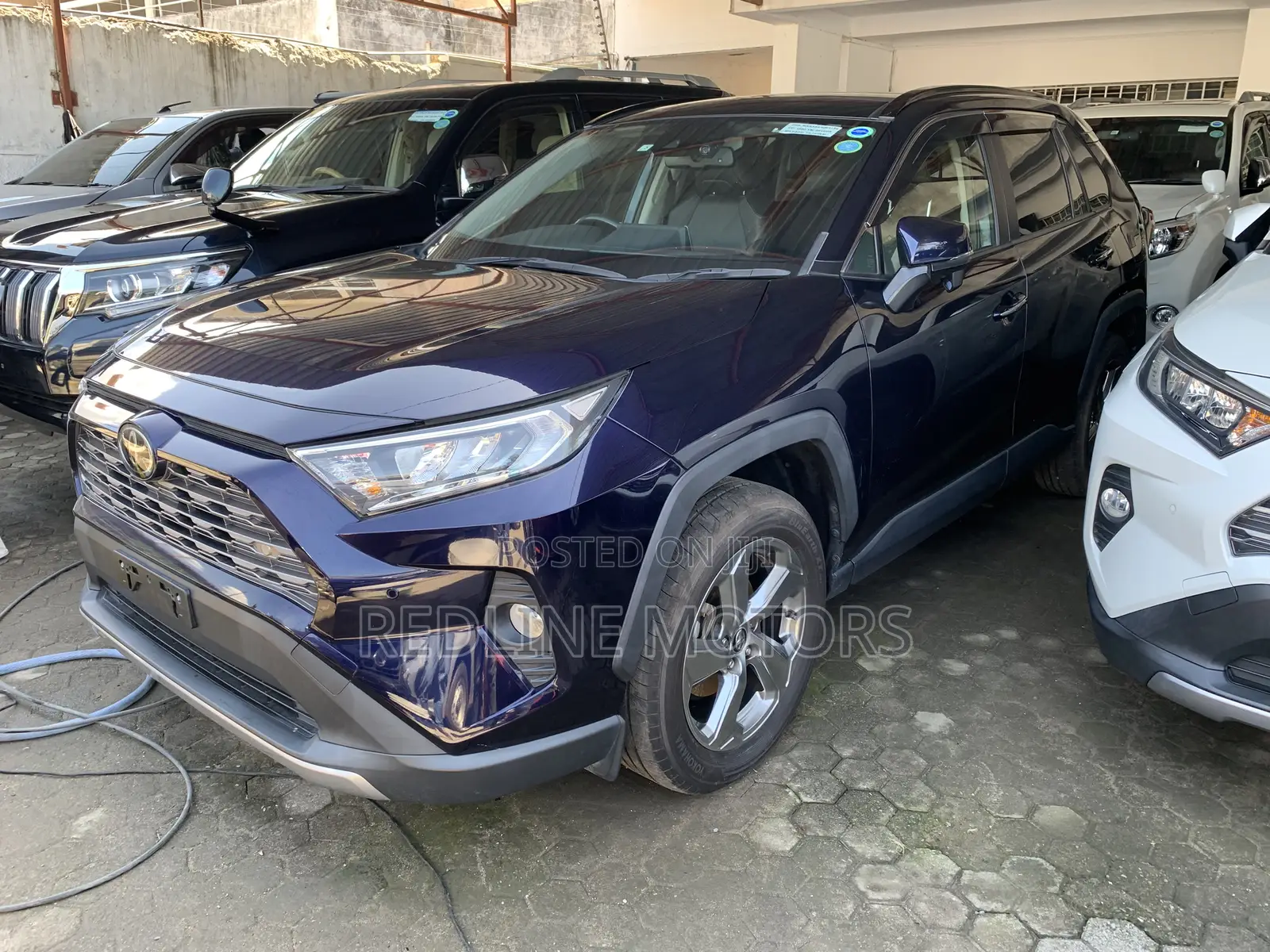 Toyota RAV4 Limited FWD 2019 Blue
