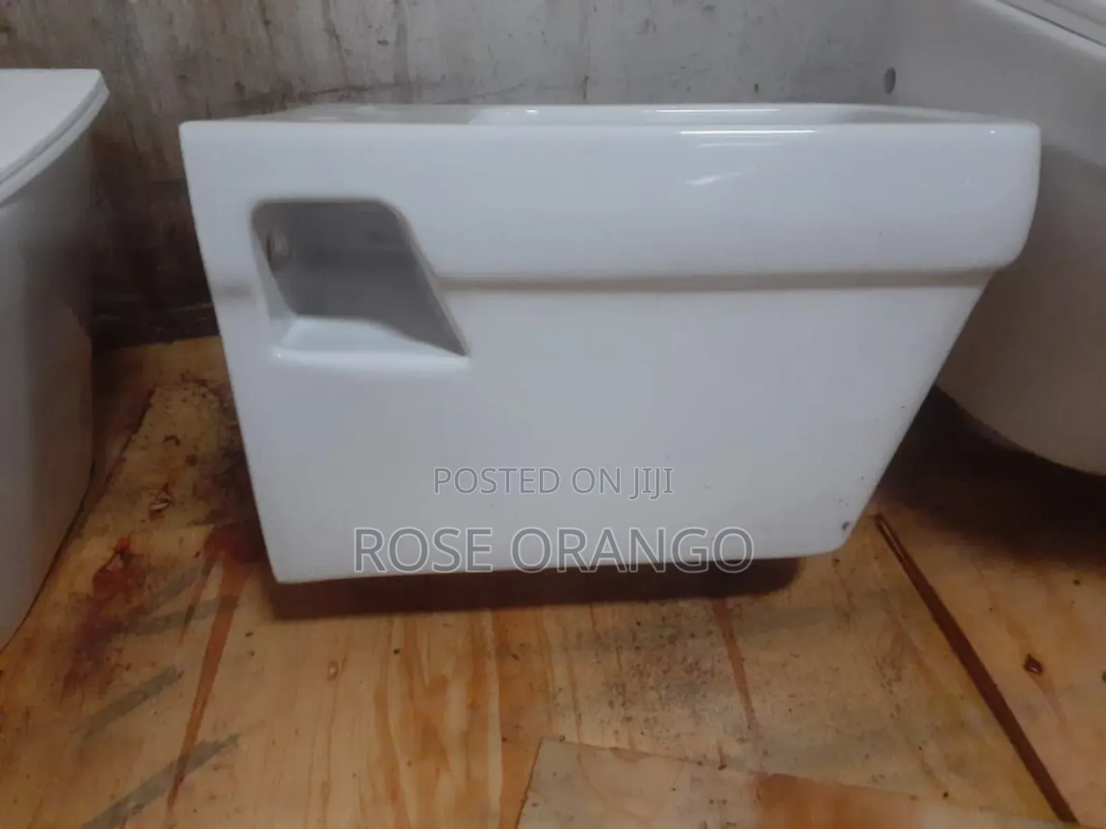 Wall Toilet