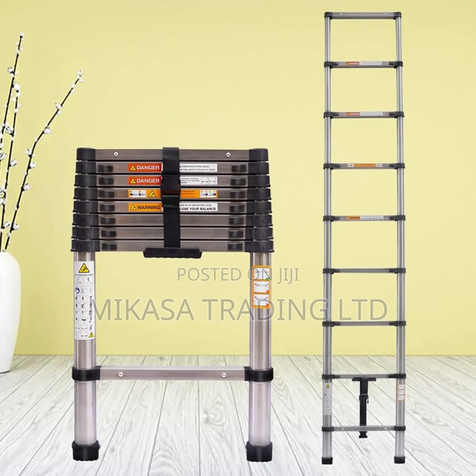 Telescopic Ladder