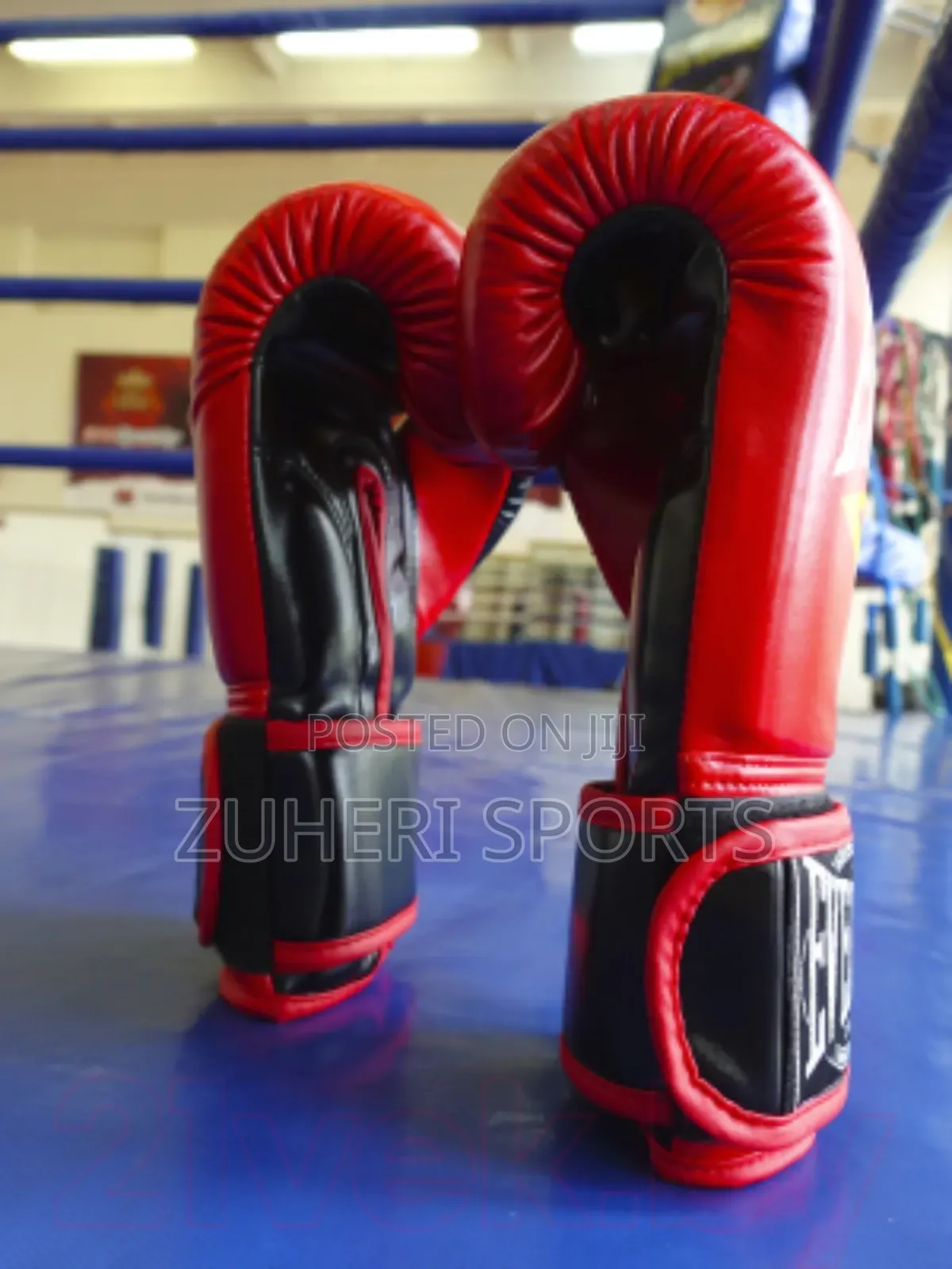 Everlast Boxing Gloves Heavy Duty Mitts Wholesale Price