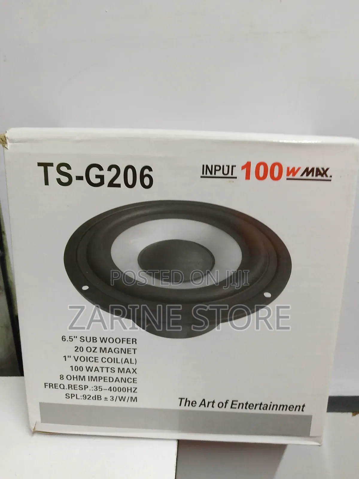 Ts-G206 6.5" Sub Woofer With 100W Input for Entertainment