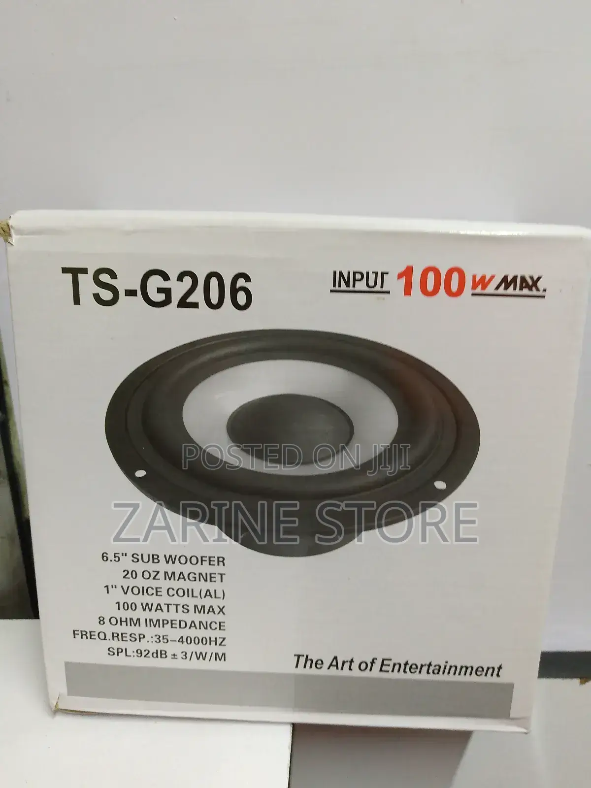 Ts-G206 6.5" Sub Woofer With 100W Input for Entertainment