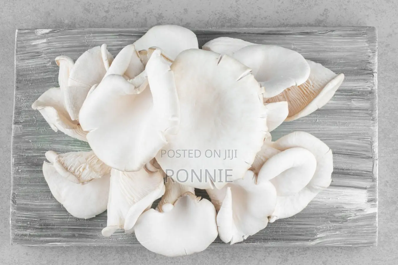 Fresh White Oyster Mushrooms