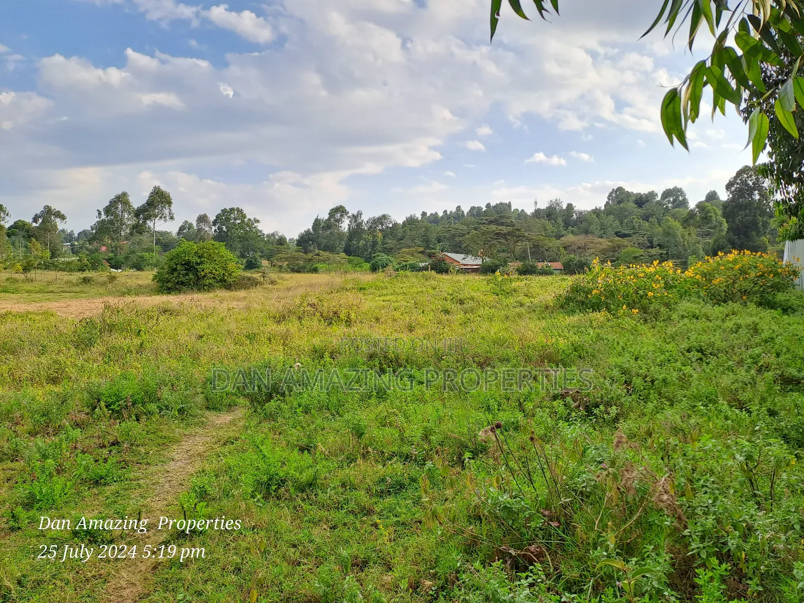 50 by 100 Piece of Land in Oloololua Imani Centre for Sale