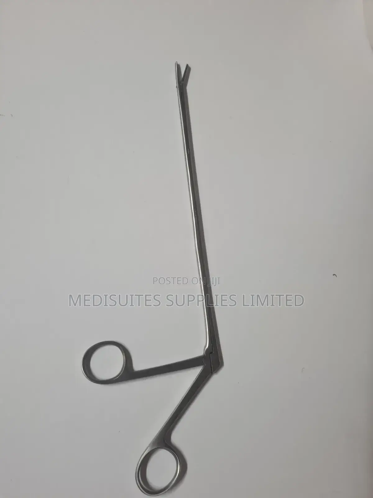 Large Crodile Forceps ( Stainless Steel)