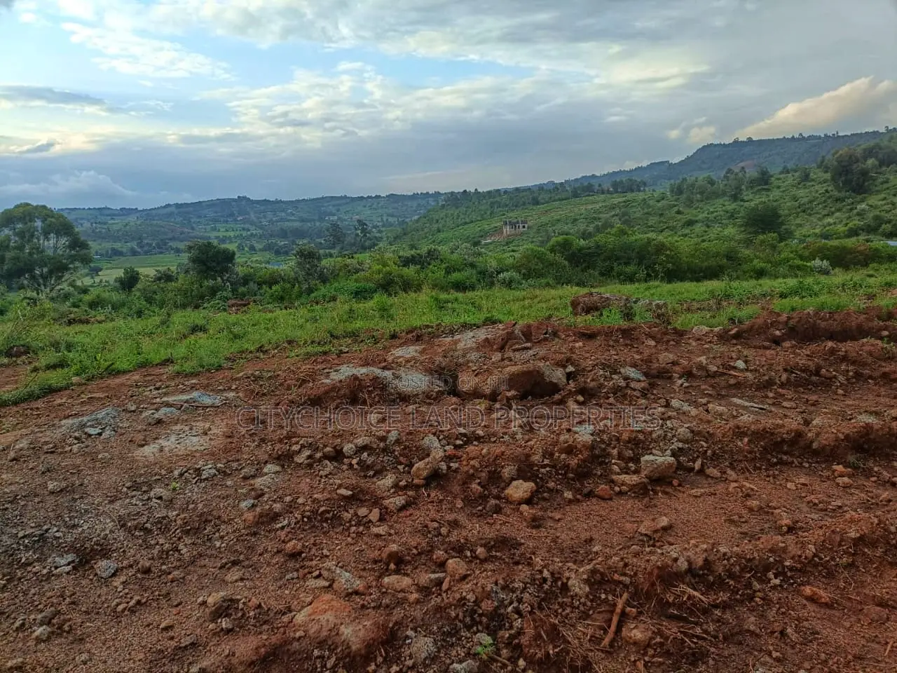 50 X 100ft Plots for Sale in Ndiguini Kikuyu