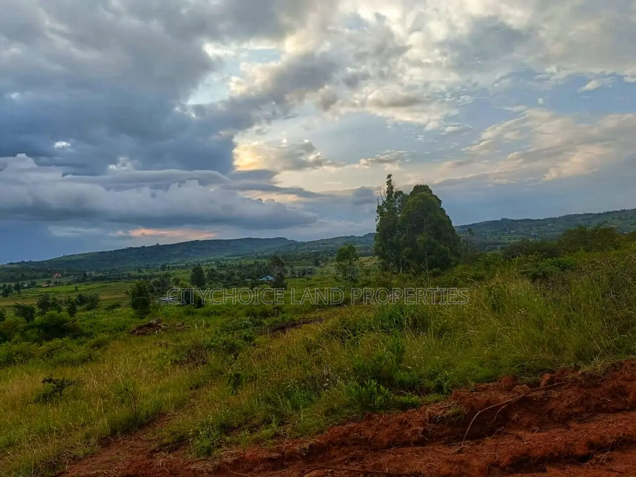 50 X 100ft Plots for Sale in Ndiguini Kikuyu