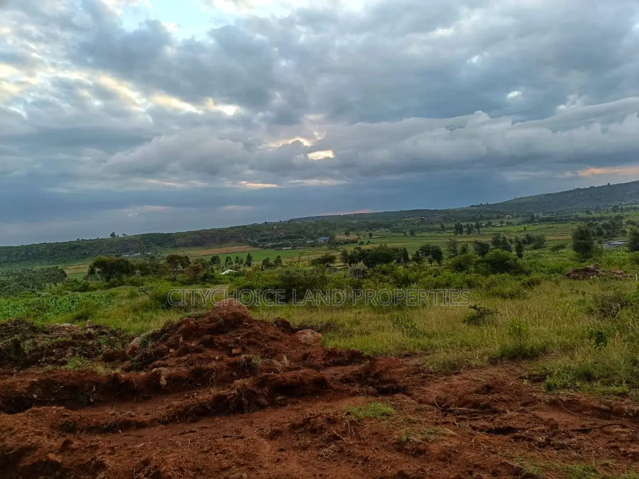 50 X 100ft Plots for Sale in Ndiguini Kikuyu