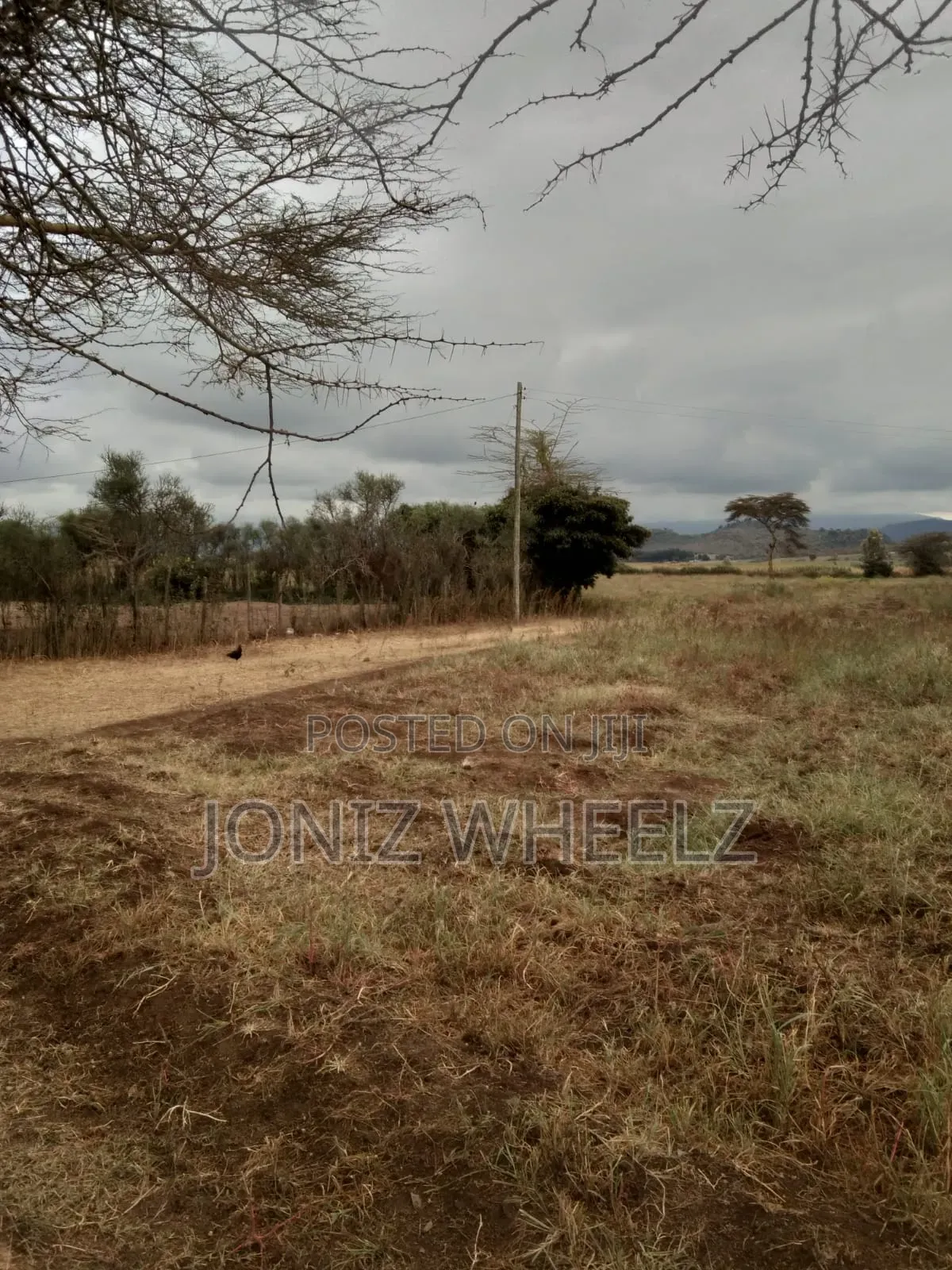 2.5 Acres Naivasha Moi Ndabi, Kongoni Avail Water Electricty