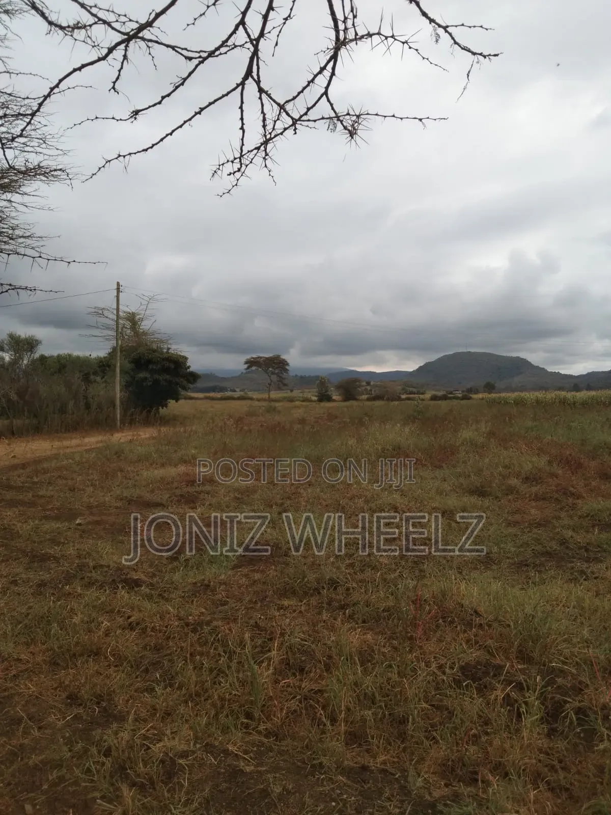 2.5 Acres Naivasha Moi Ndabi, Kongoni Avail Water Electricty