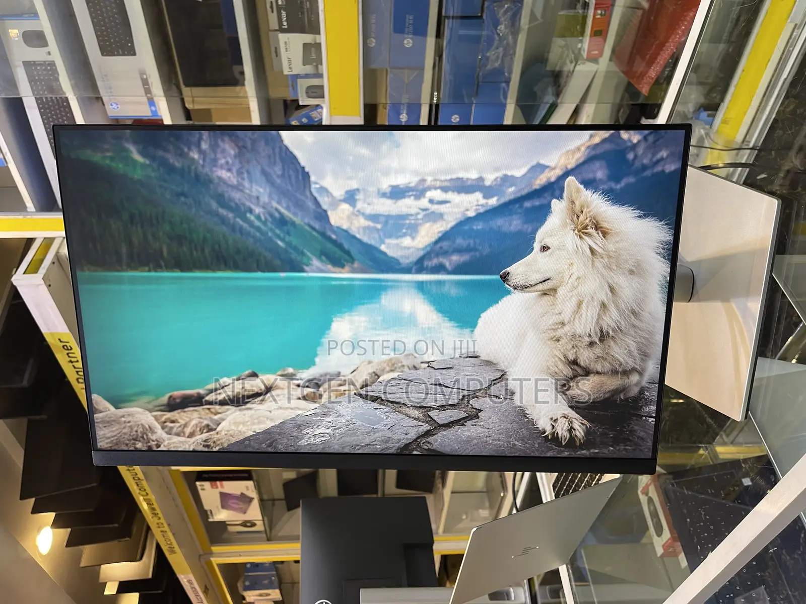 Dell P2422H 24 Inch IPS FHD(1080p) Frameless Display Monitor