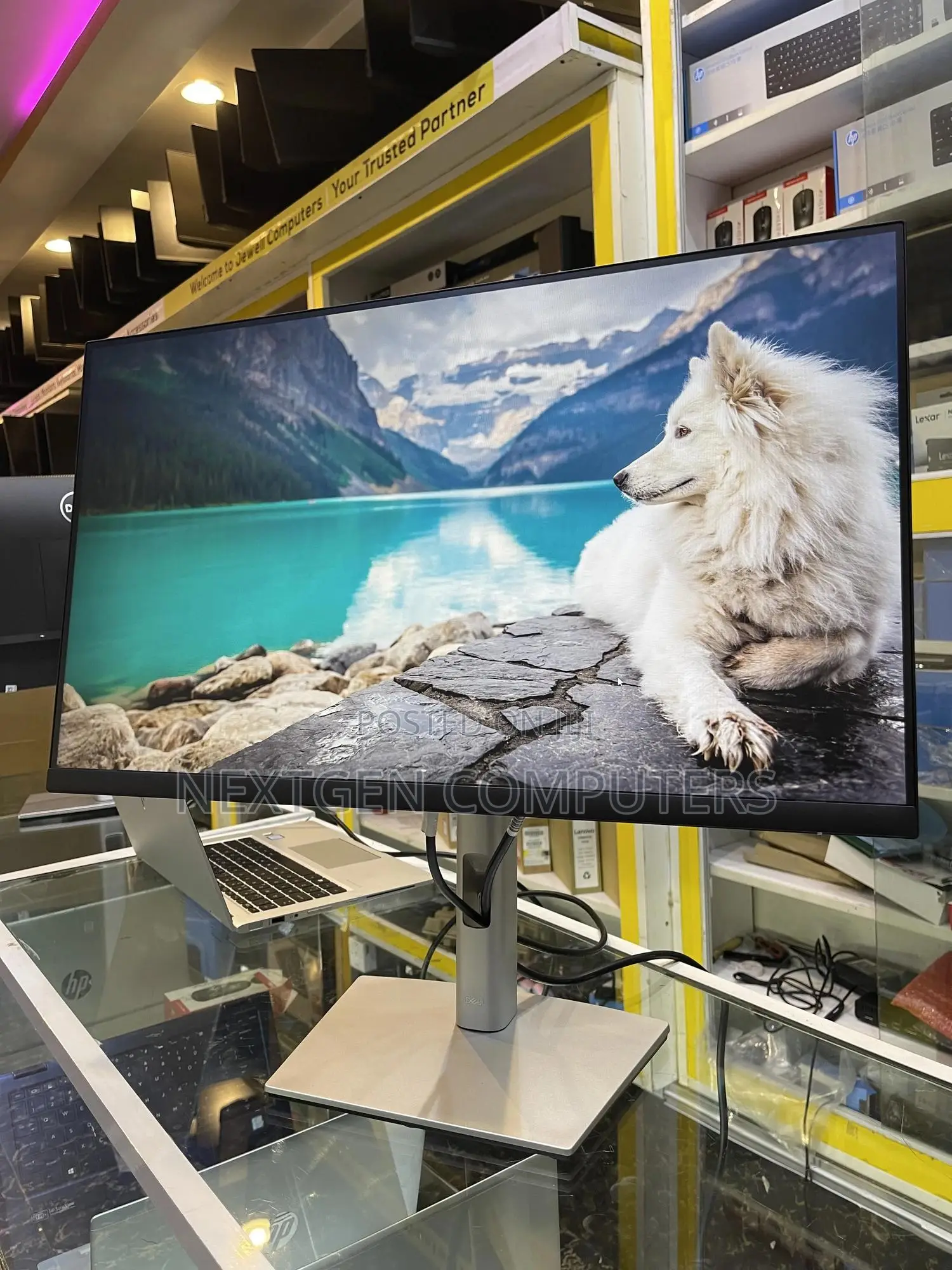 Dell P2422H 24 Inch IPS FHD(1080p) Frameless Display Monitor