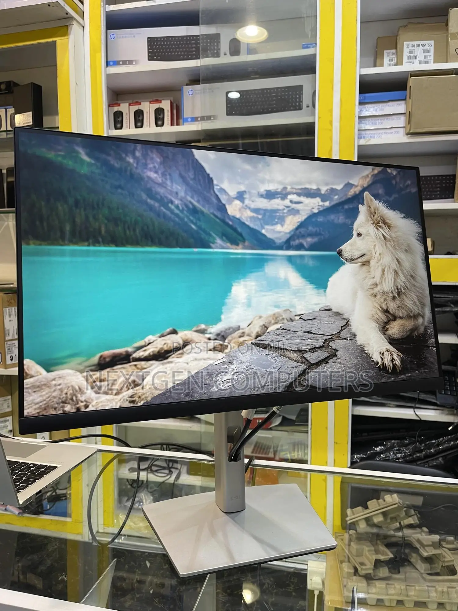 Dell P2422H 24 Inch IPS FHD(1080p) Frameless Display Monitor