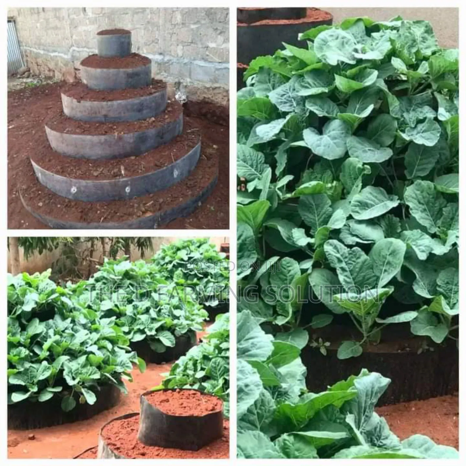 Multistorey Garden