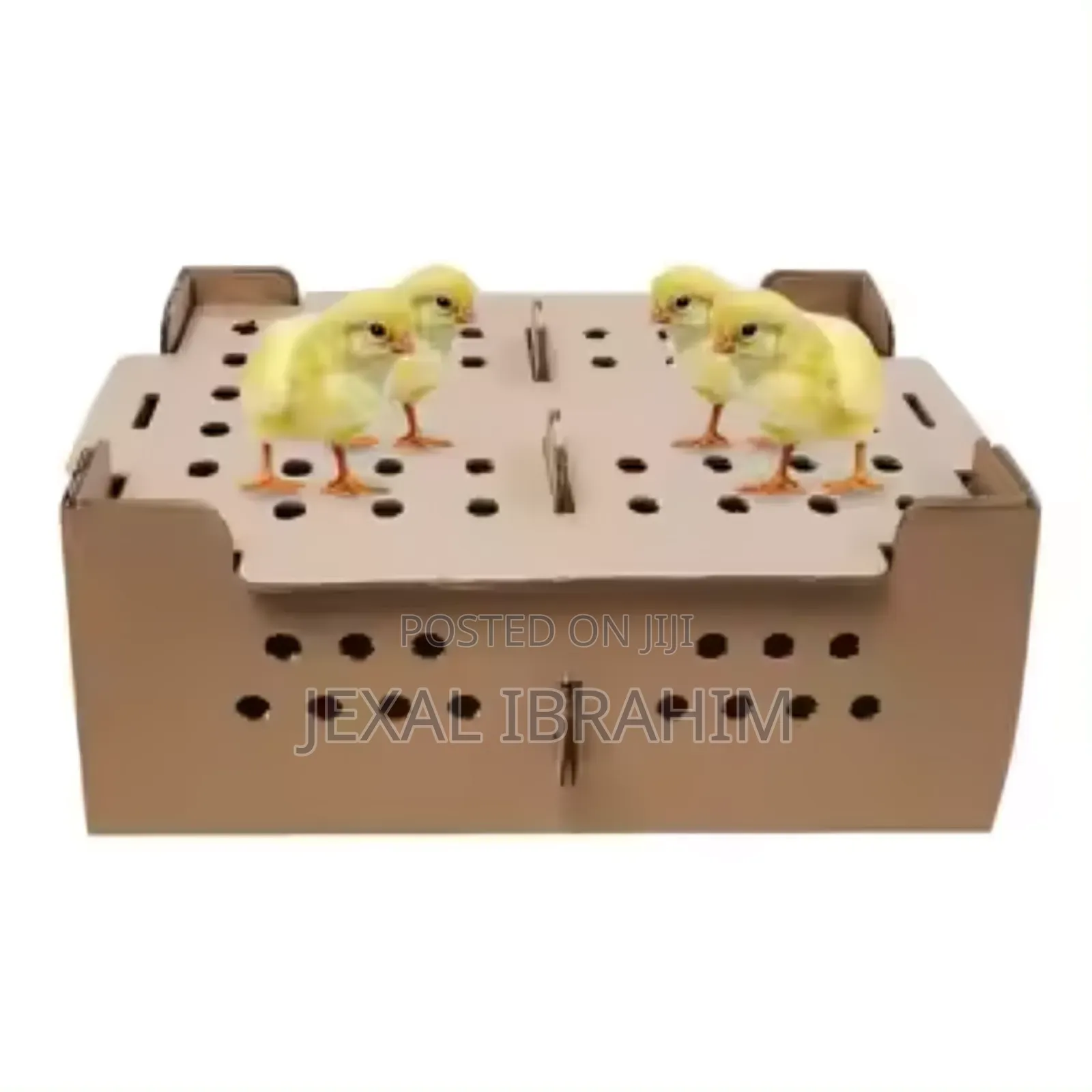 Chicks Box Transportation