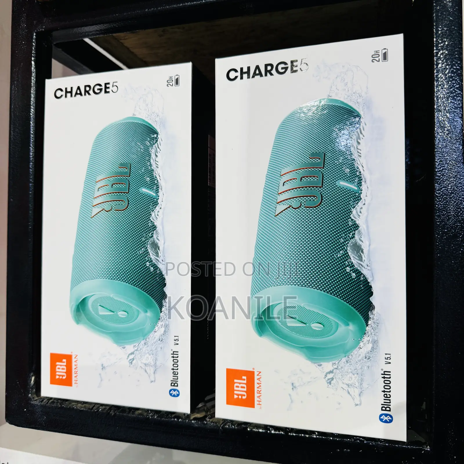 JBL Charge 5 (Teal Gift)