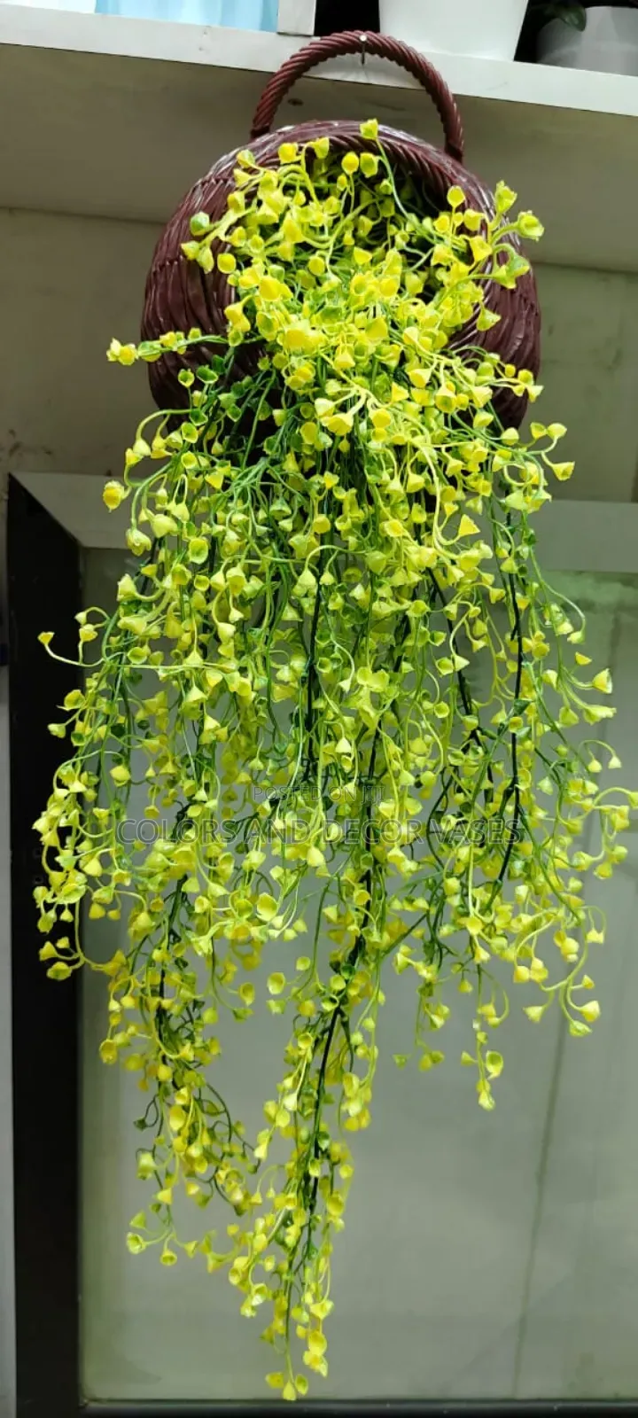 Outdoor Hanging Vines or Flowers