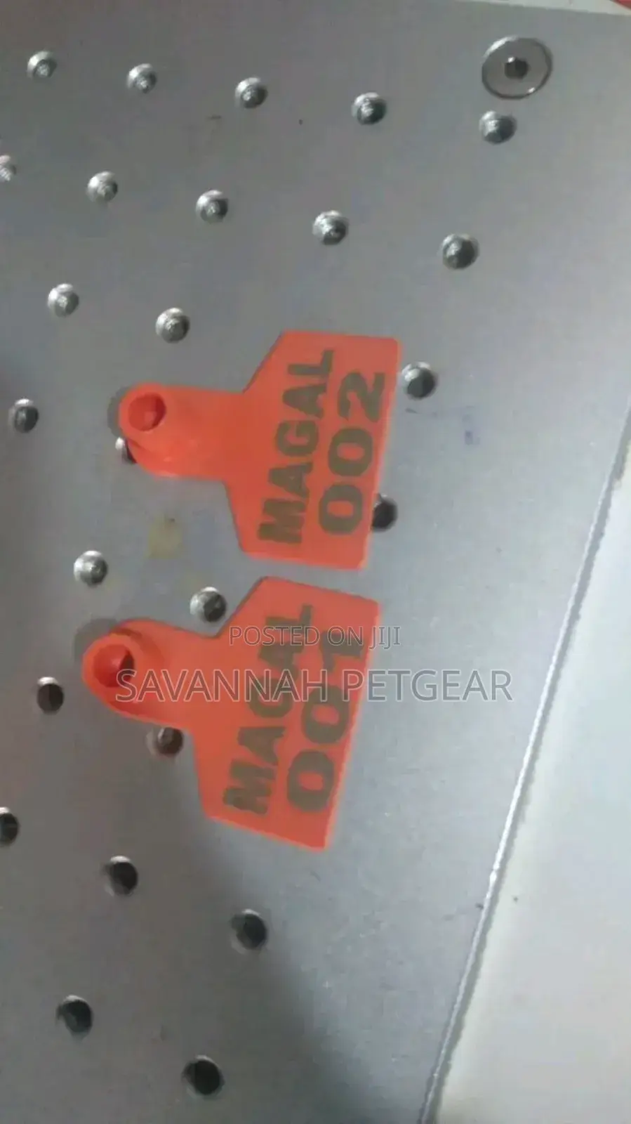 Laser Customized Ear Tags for the Goats and Sheep -Permanent