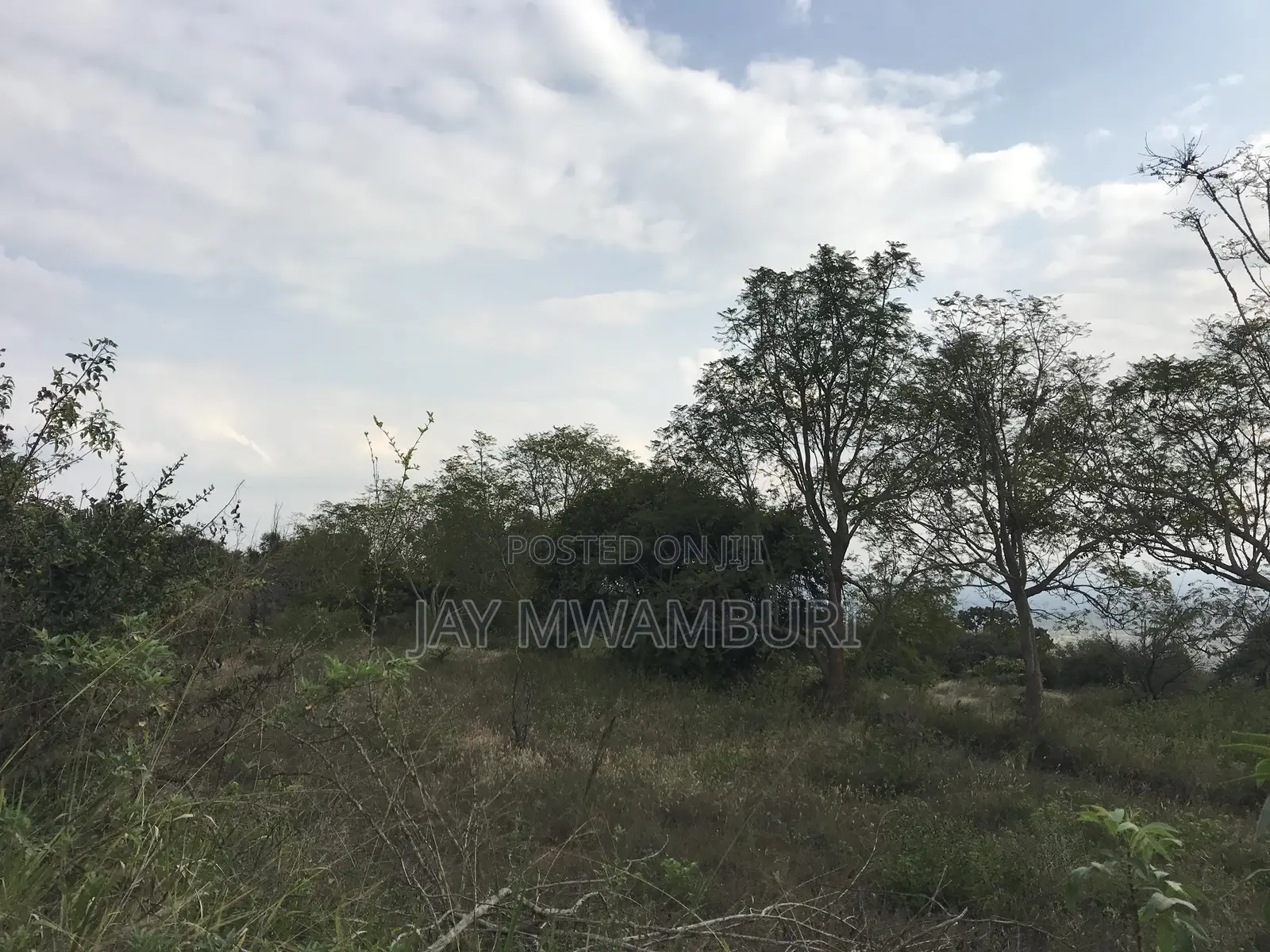 20.8 Acre Land in Mua Hills
