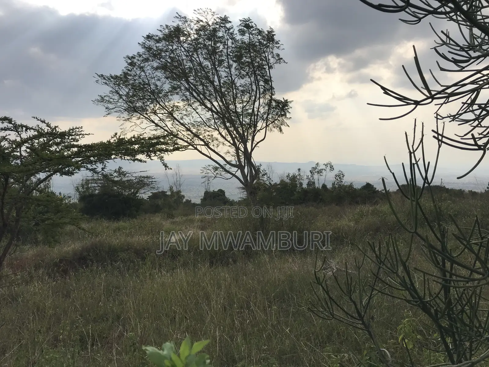 20.8 Acre Land in Mua Hills