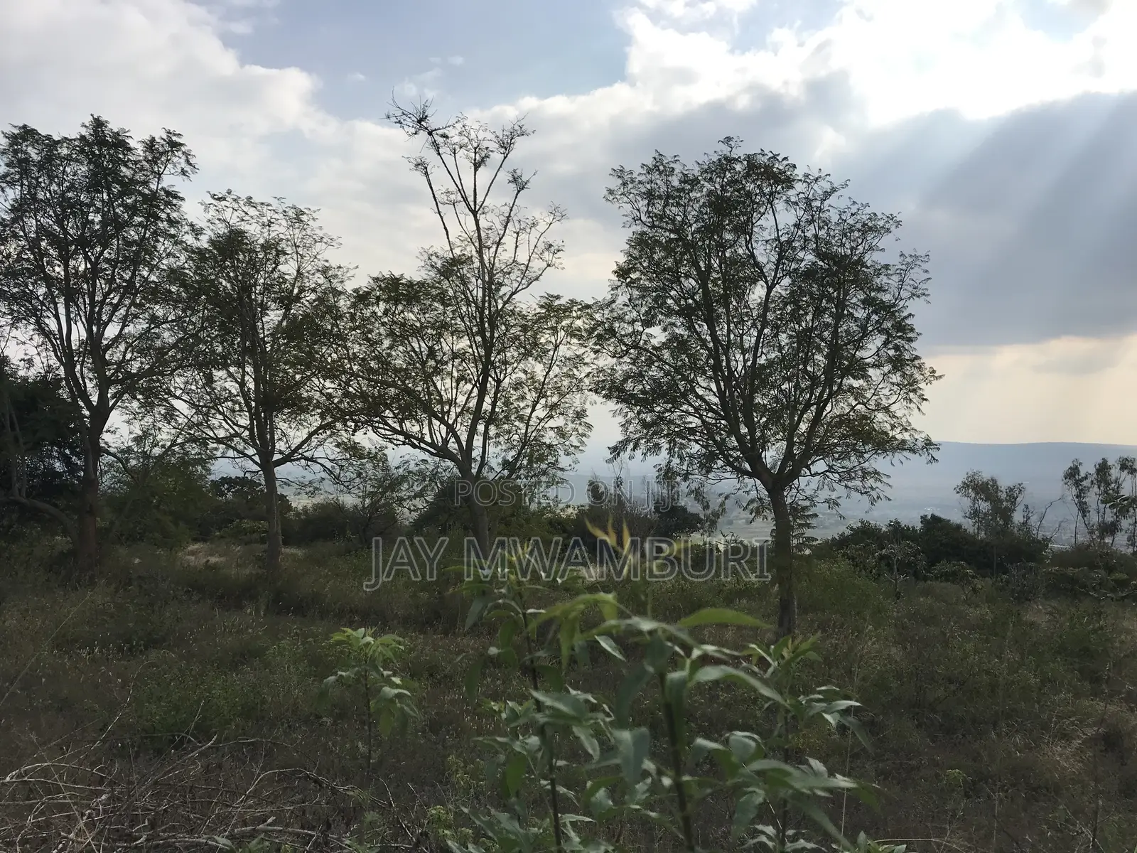 20.8 Acre Land in Mua Hills