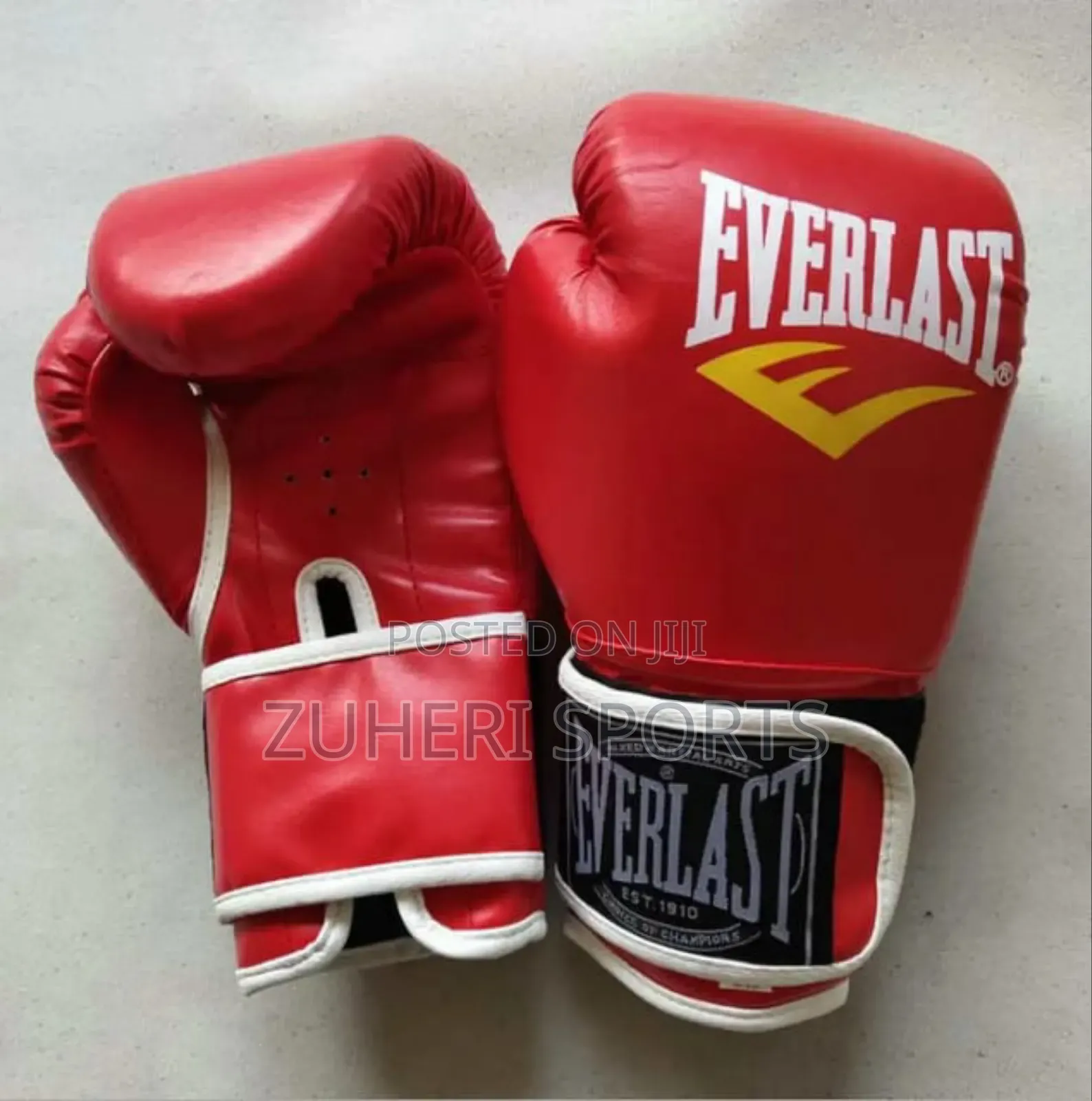 Everlast Boxing Gloves Quality Product