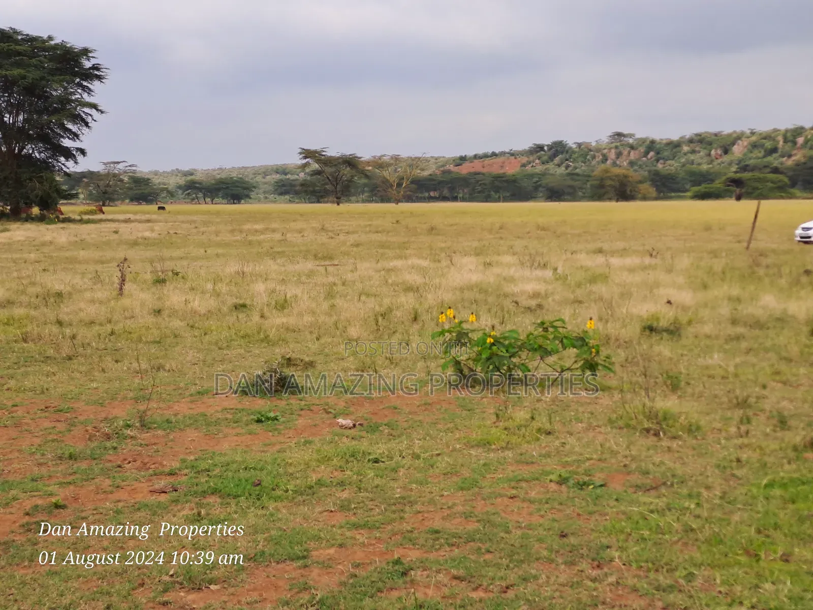 3.6 Acres in Ngong Kimuka Ideal for Farm Land for Sale