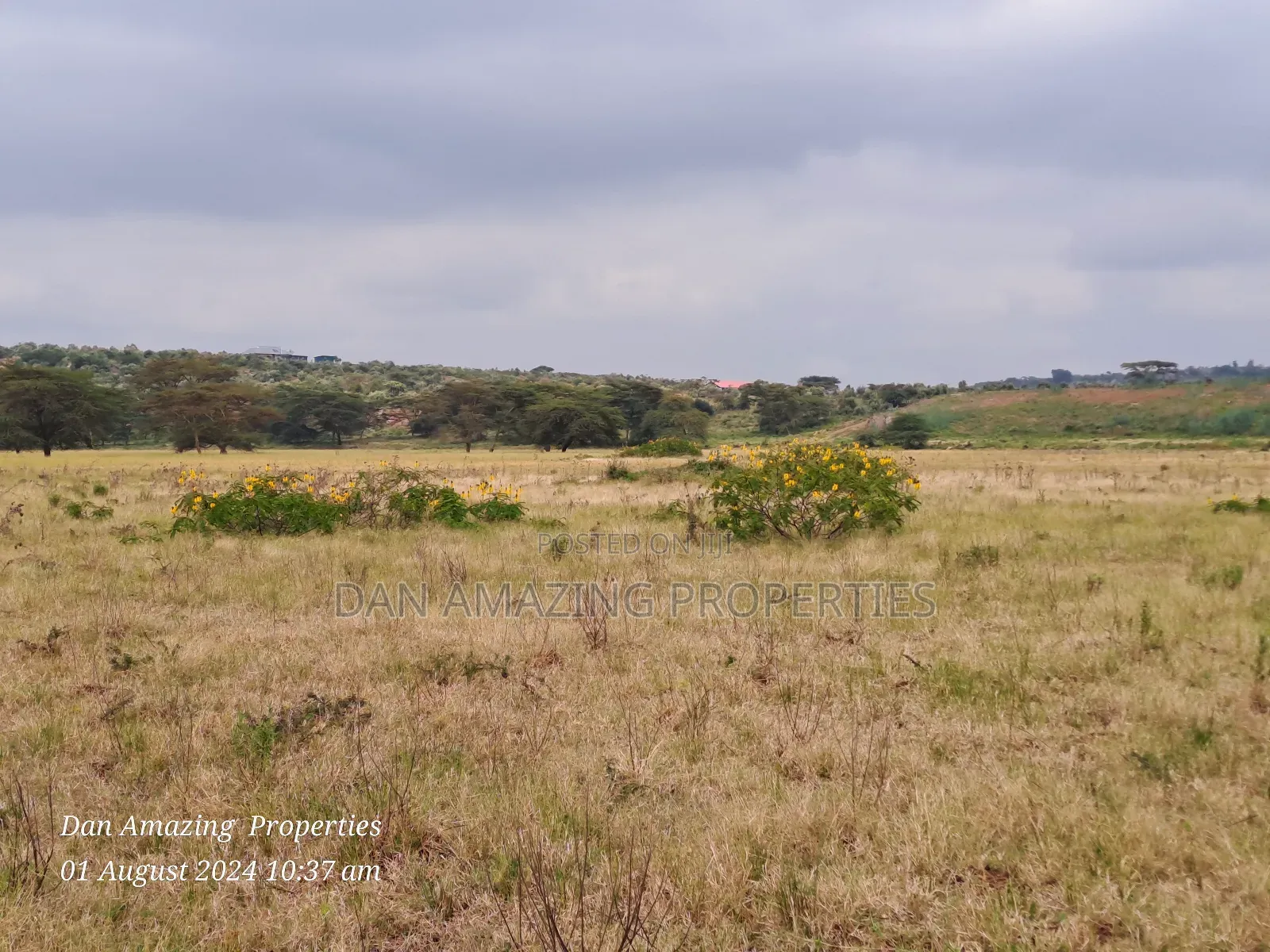 3.6 Acres in Ngong Kimuka Ideal for Farm Land for Sale