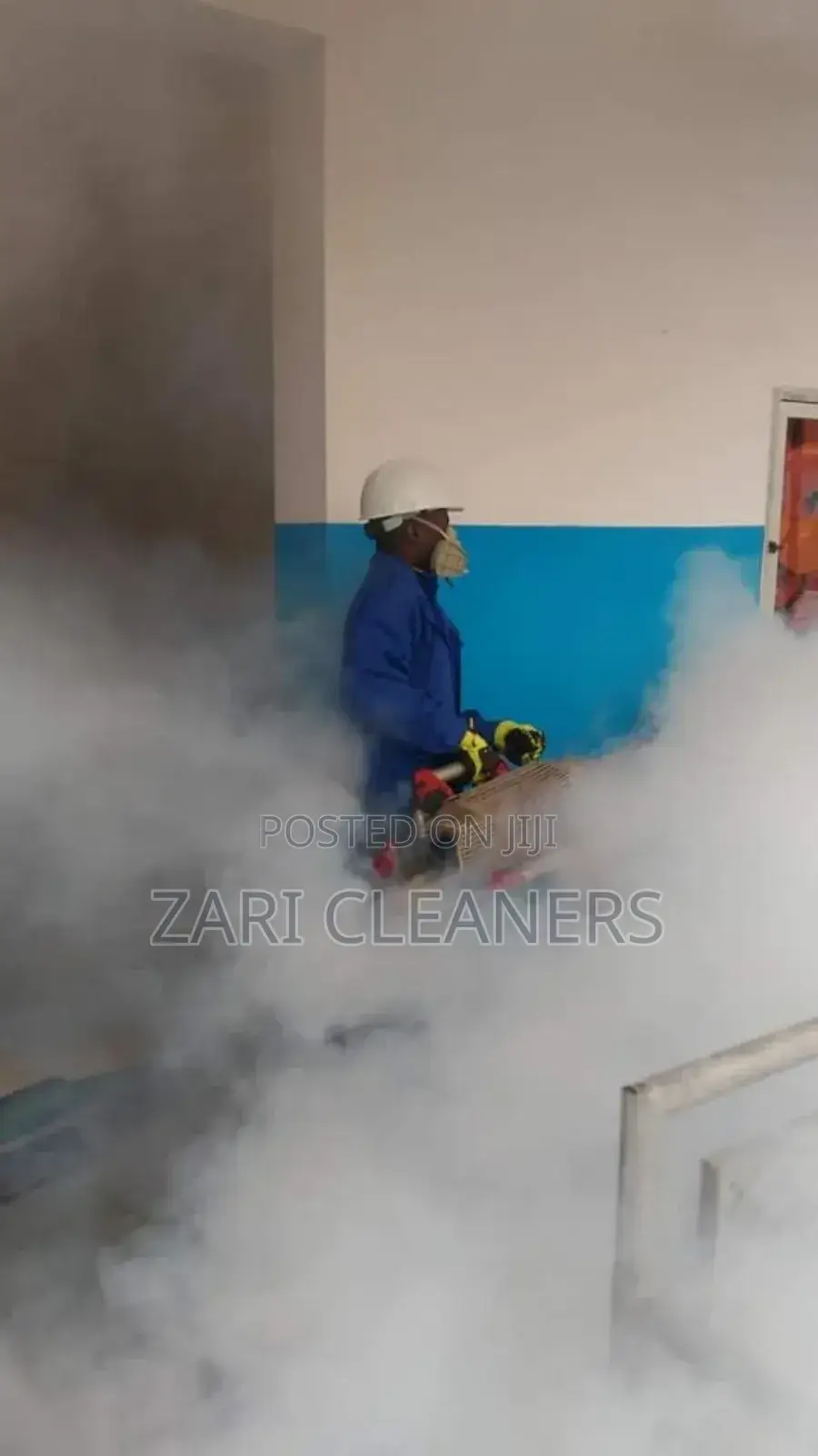 Gas Fogging (Insect Control)