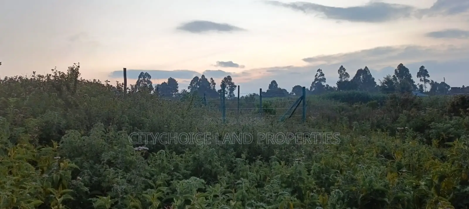 0.05 Ha Plot of Land in Kikuyu, Thigio