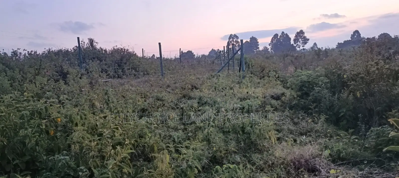0.05 Ha Plot of Land in Kikuyu, Thigio