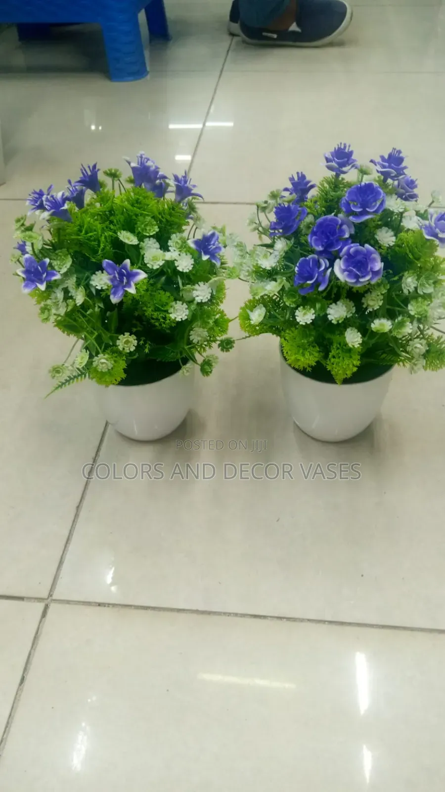 Purple Bonsai Potted Plants