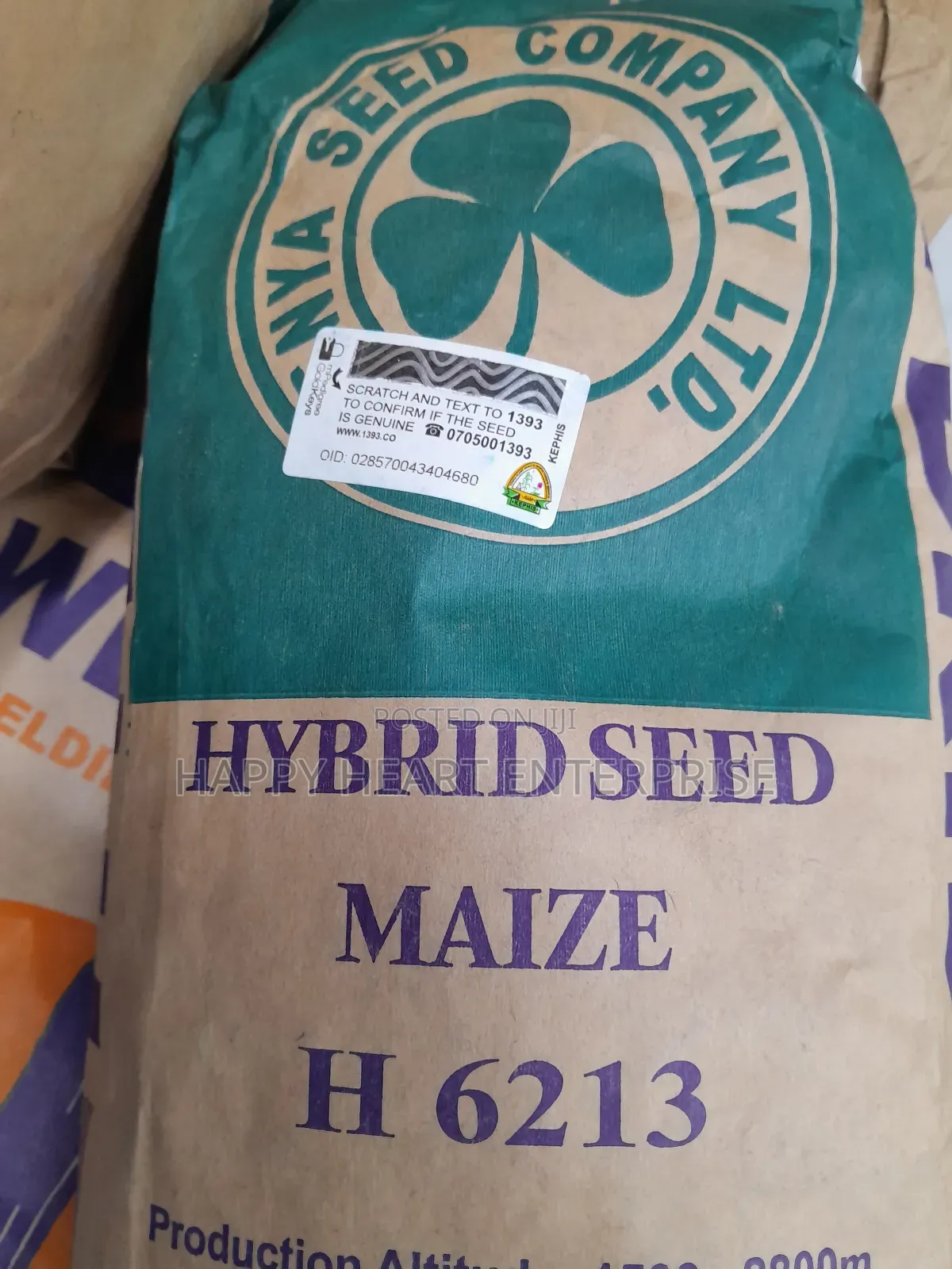Hybrid Seed Maize H 6213 2kgs