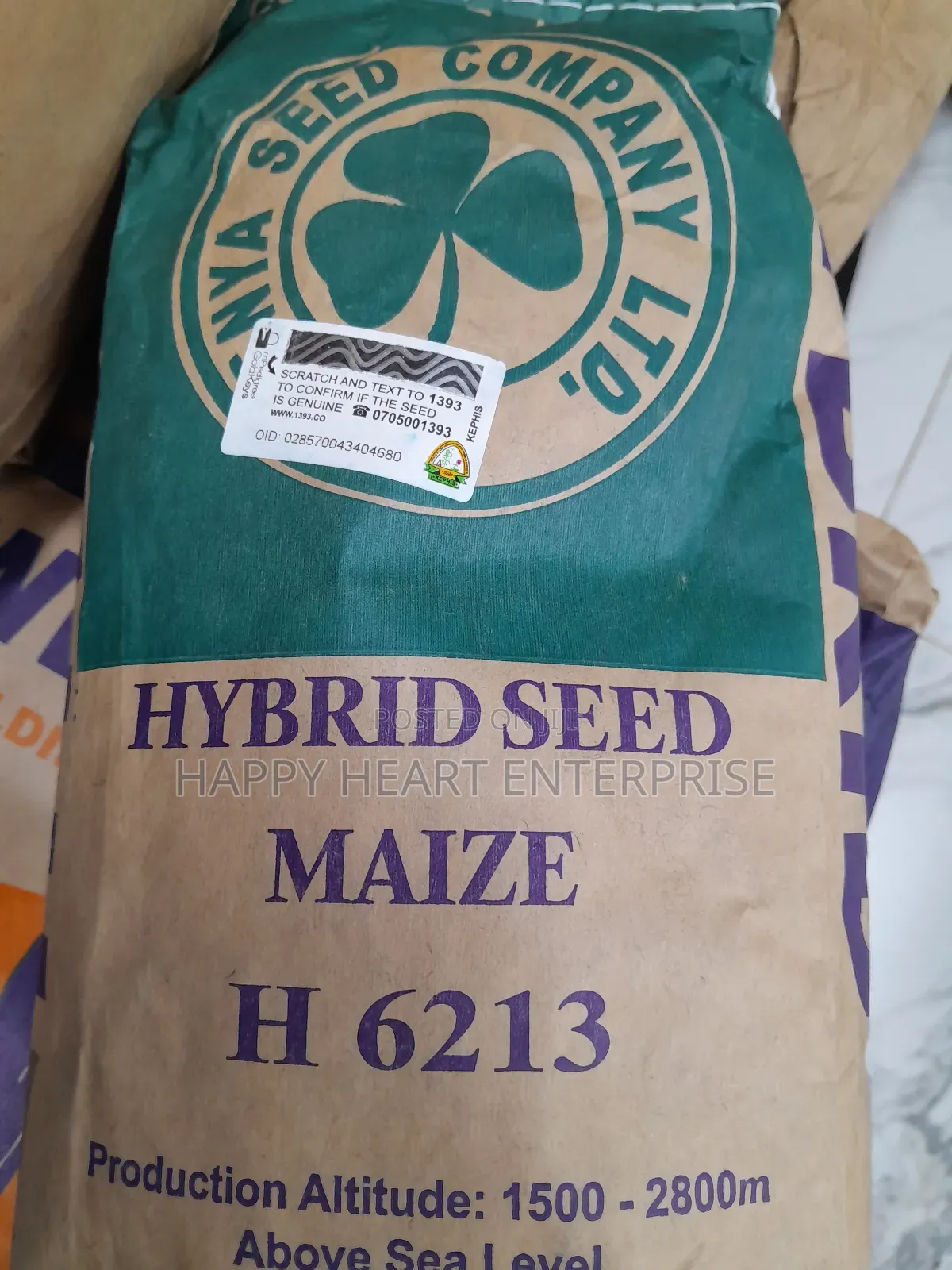 Hybrid Seed Maize H 6213 2kgs