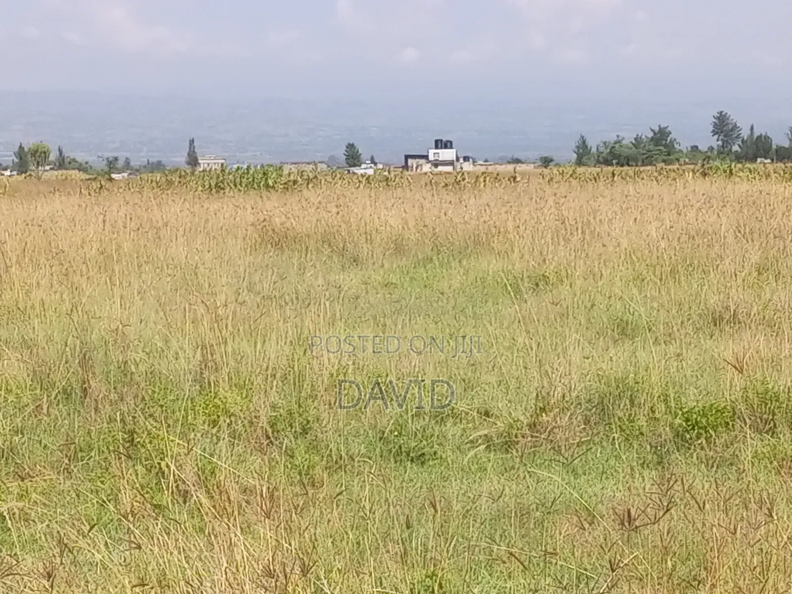 Plots for Sale in Oljorai Elmentaita ( Mutaita)
